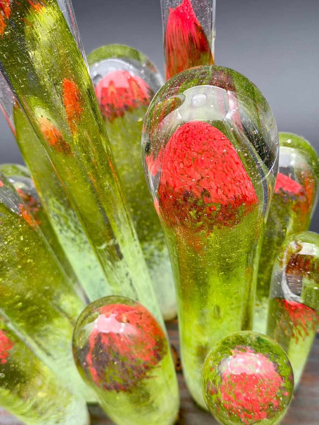 Succulentus Study 003