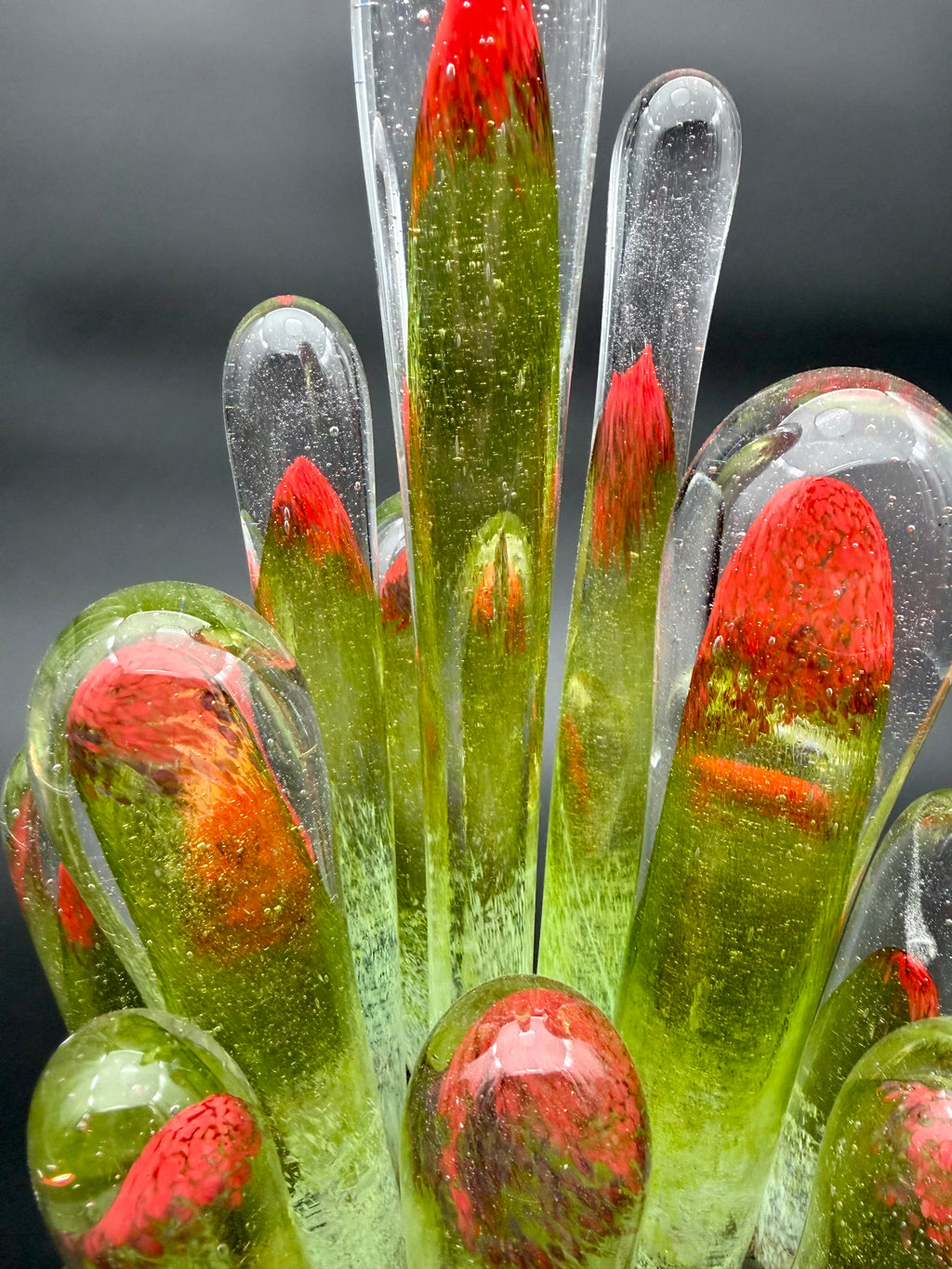 Succulentus Study 003