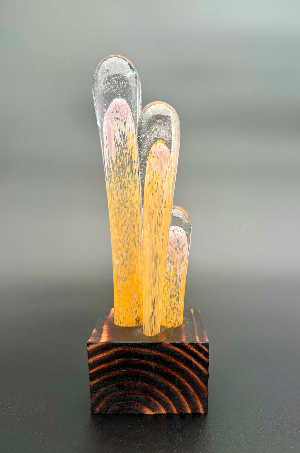 Succulentus Study 001