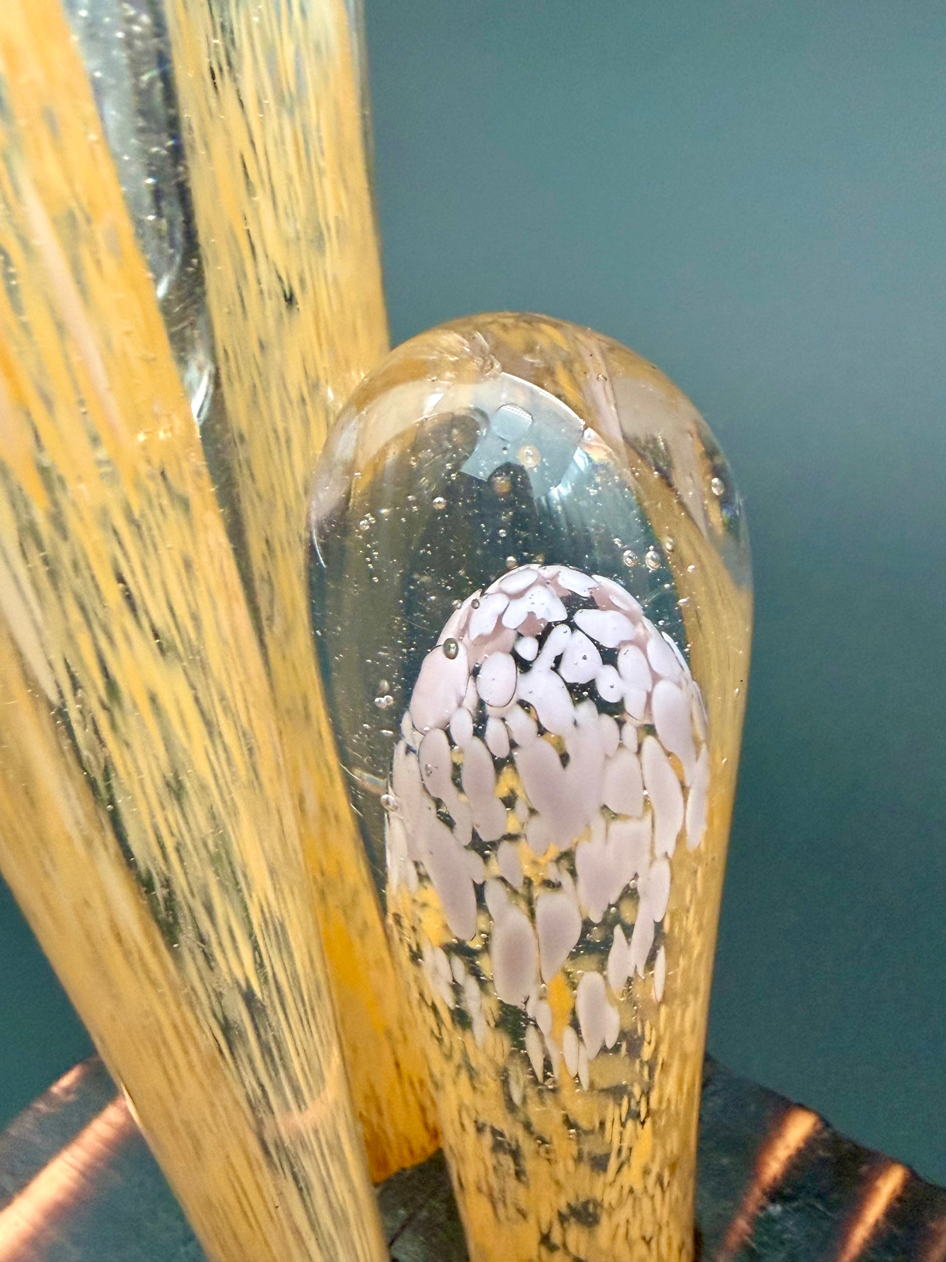 Succulentus Study 001