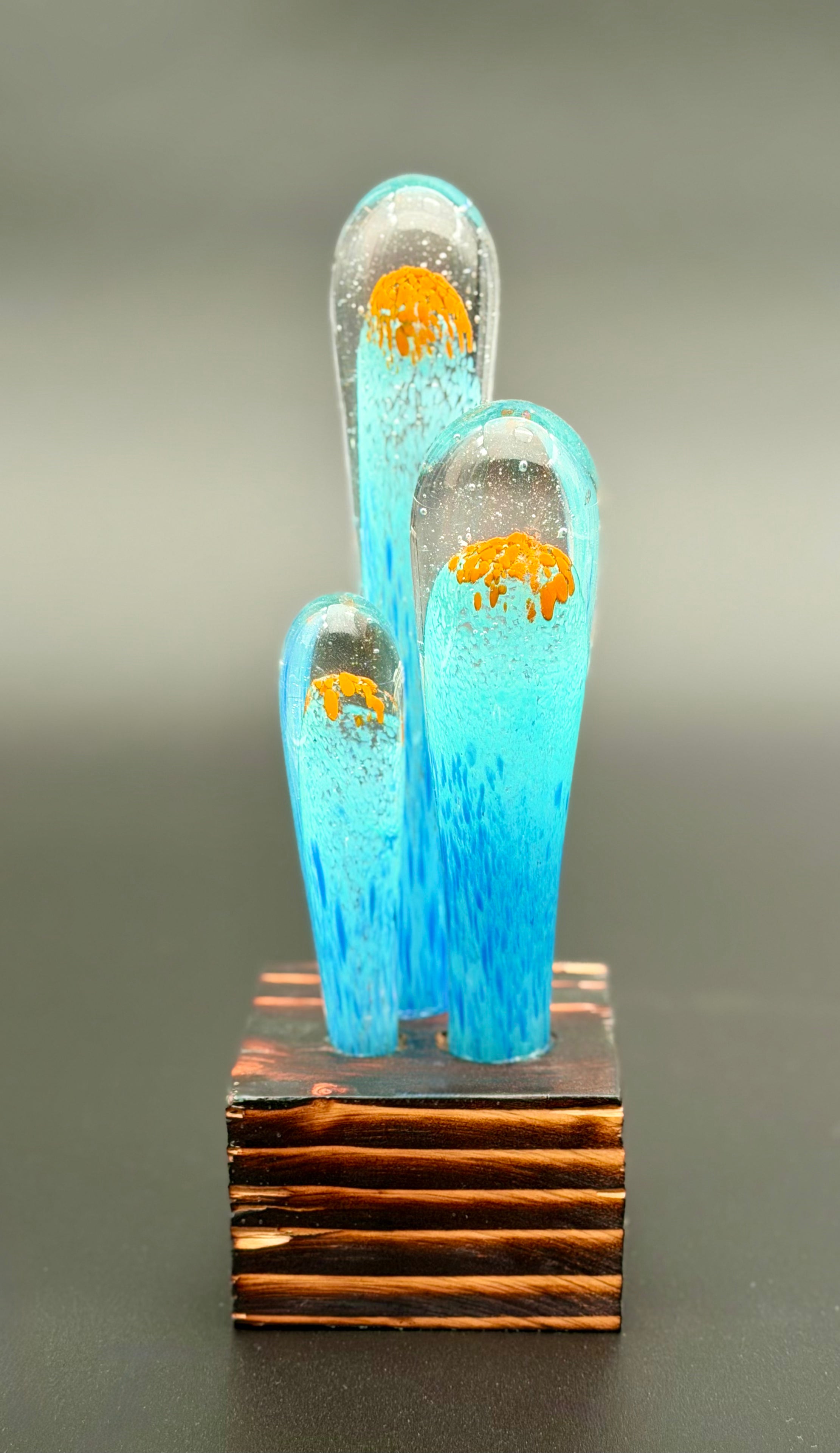 Succulentus Study 002