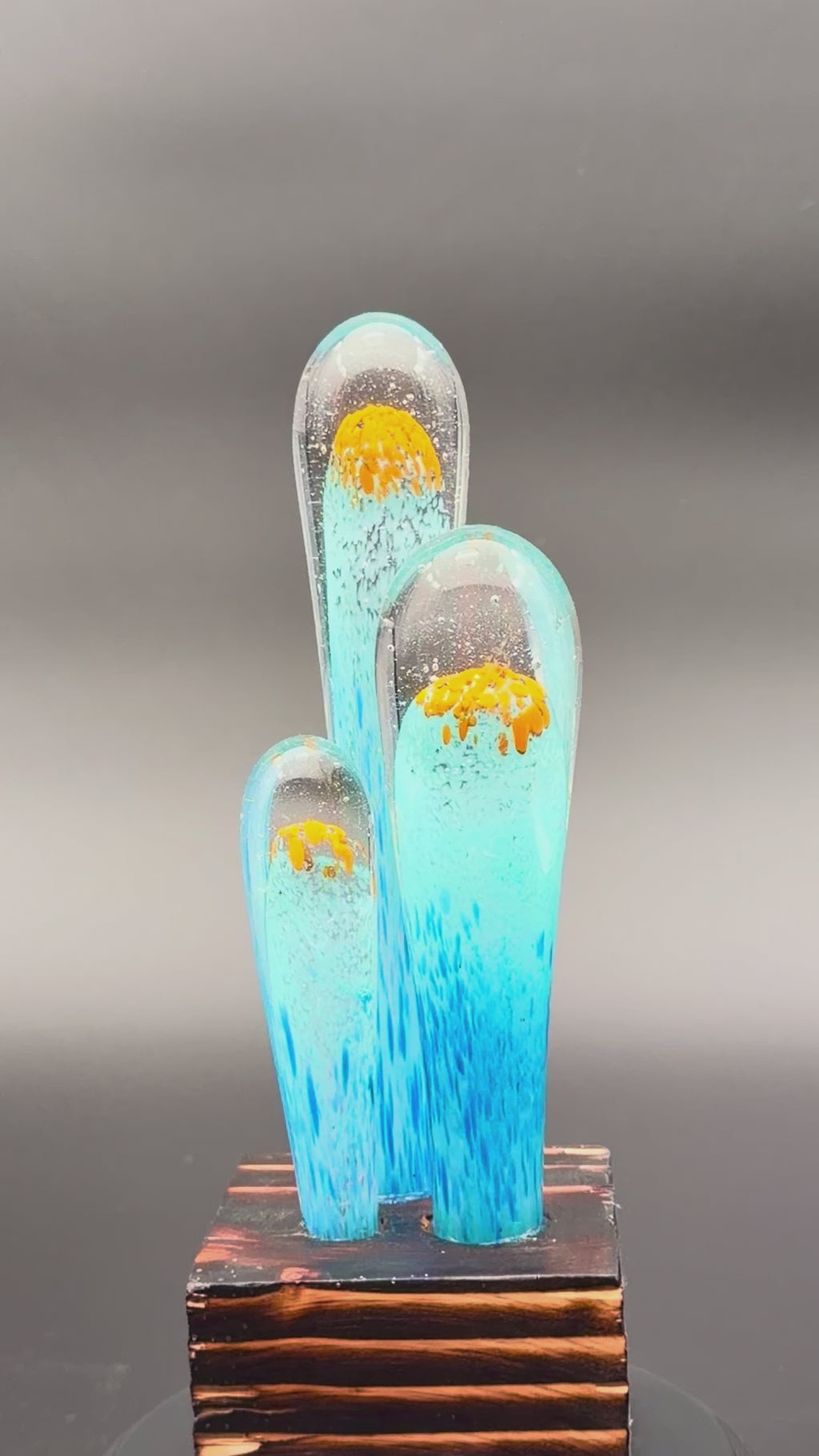 Succulentus Study 002