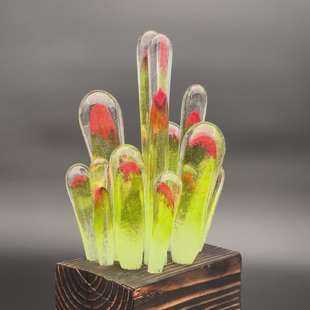 Succulentus Study 003