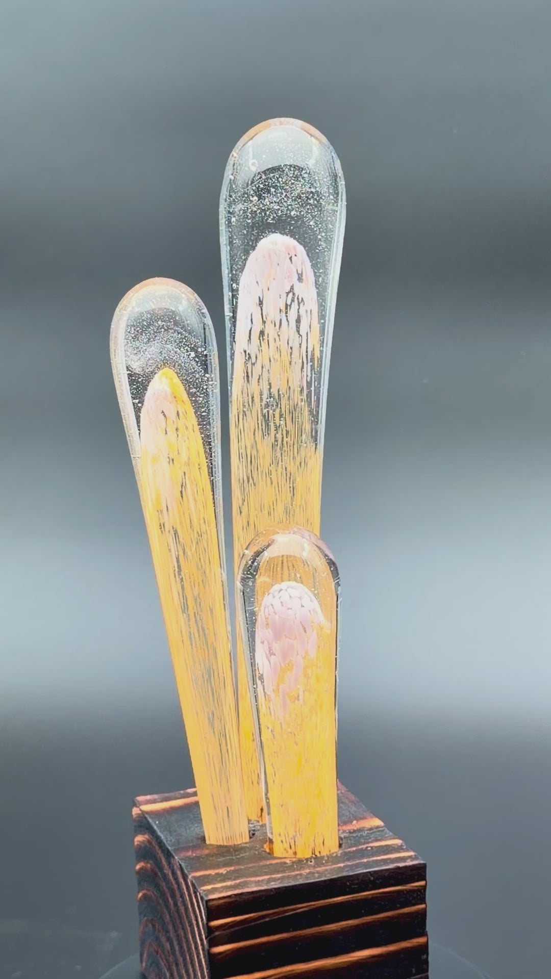 Succulentus Study 001