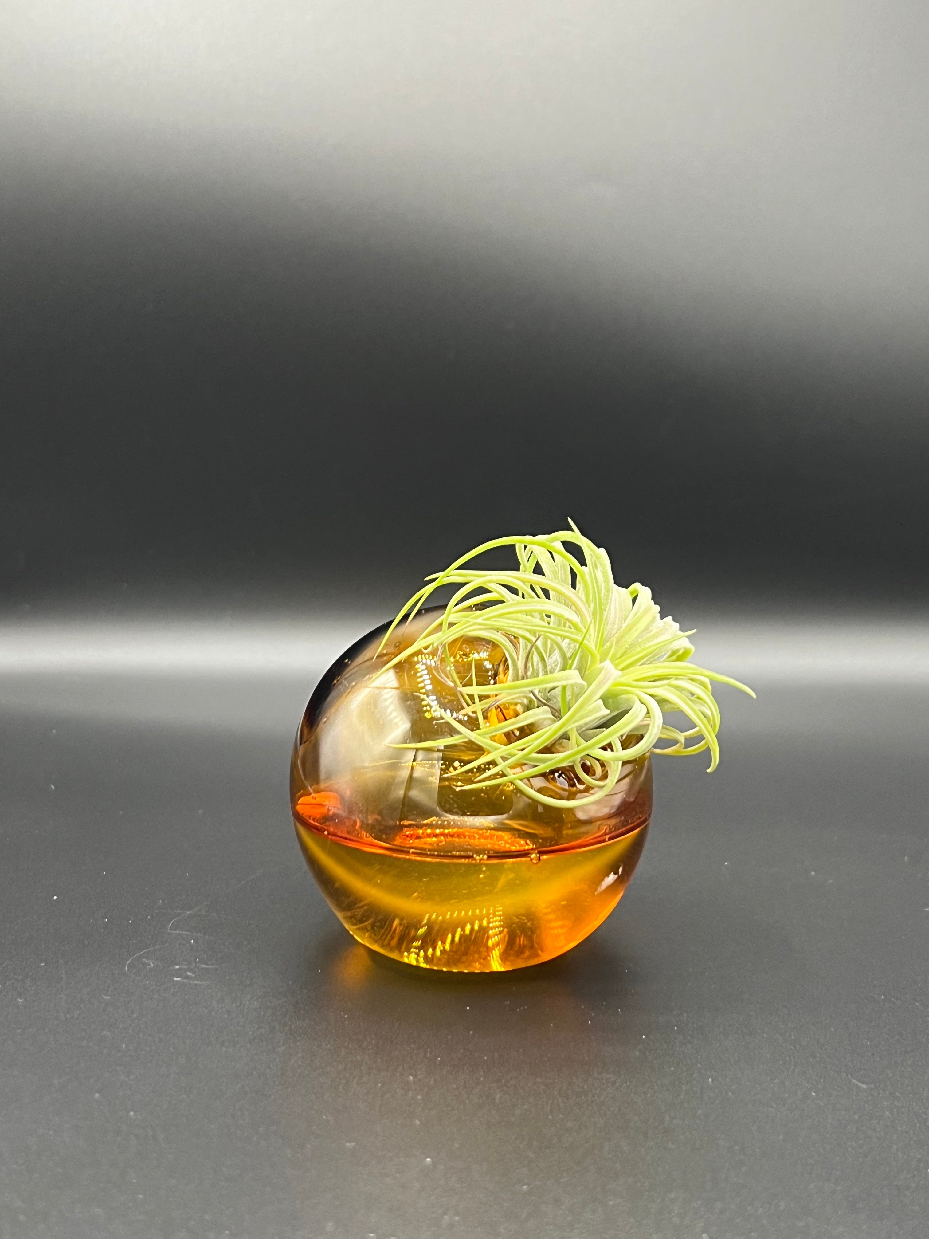 Amber Glass Asymmetrical Air Plant Vase