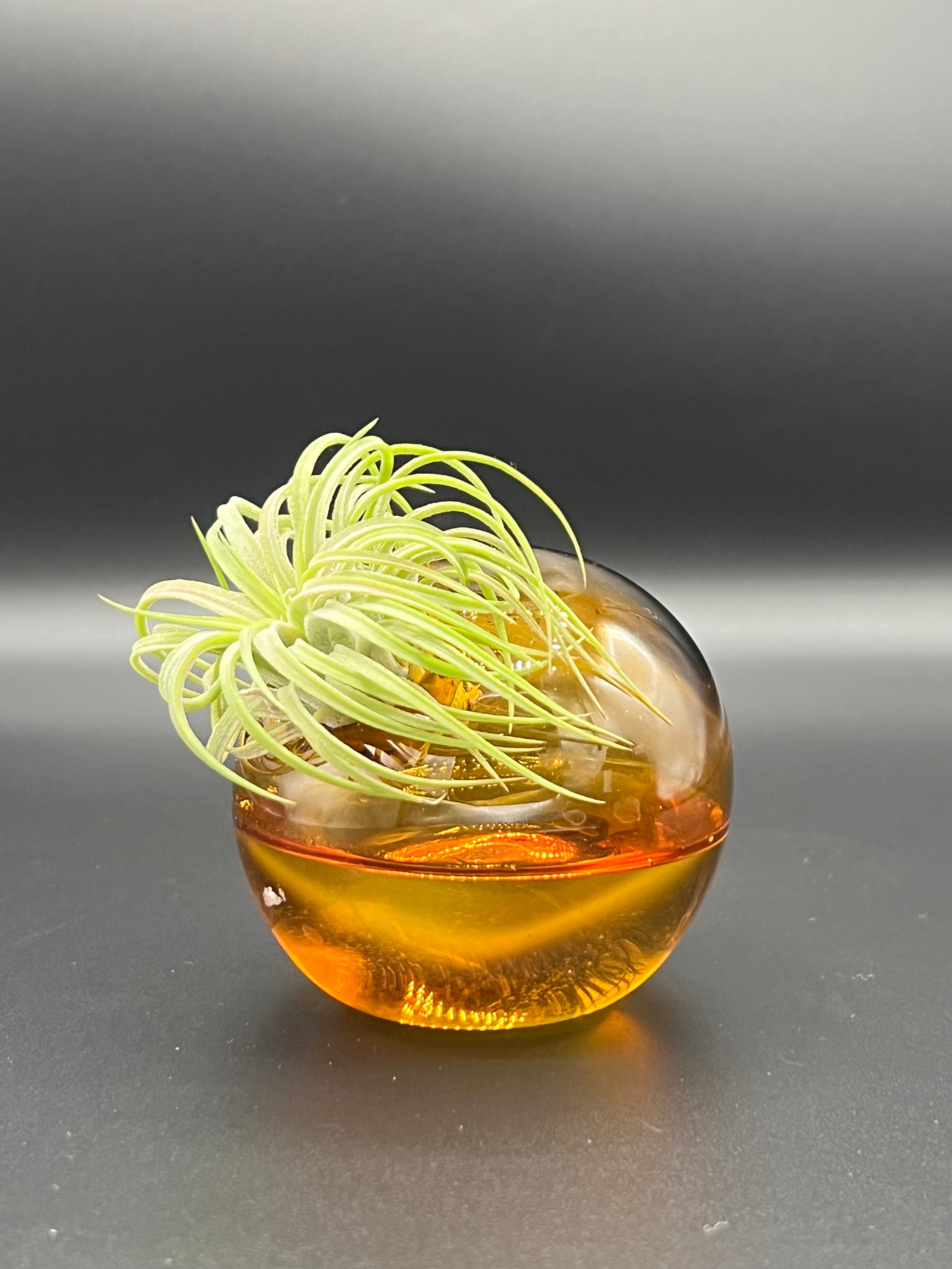 Amber Glass Asymmetrical Air Plant Vase